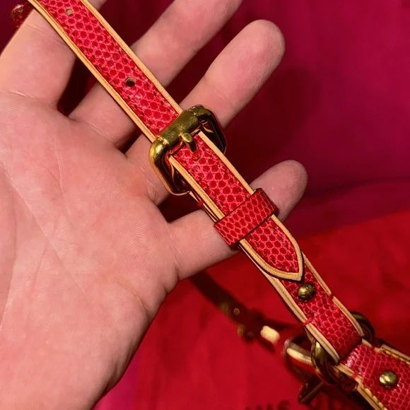 Louis Vuitton x Takashi Murakami Lizard Monogram Cerises Pochette cherry 🍒 bag - Picture 6 of 16